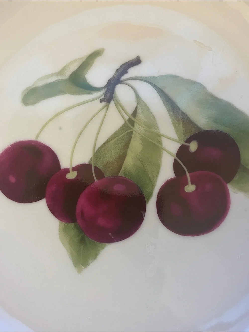 Vintage Beyer & Bock Prussia Hand Painted Fruit Cherry  motif plate Plate 7”3/4